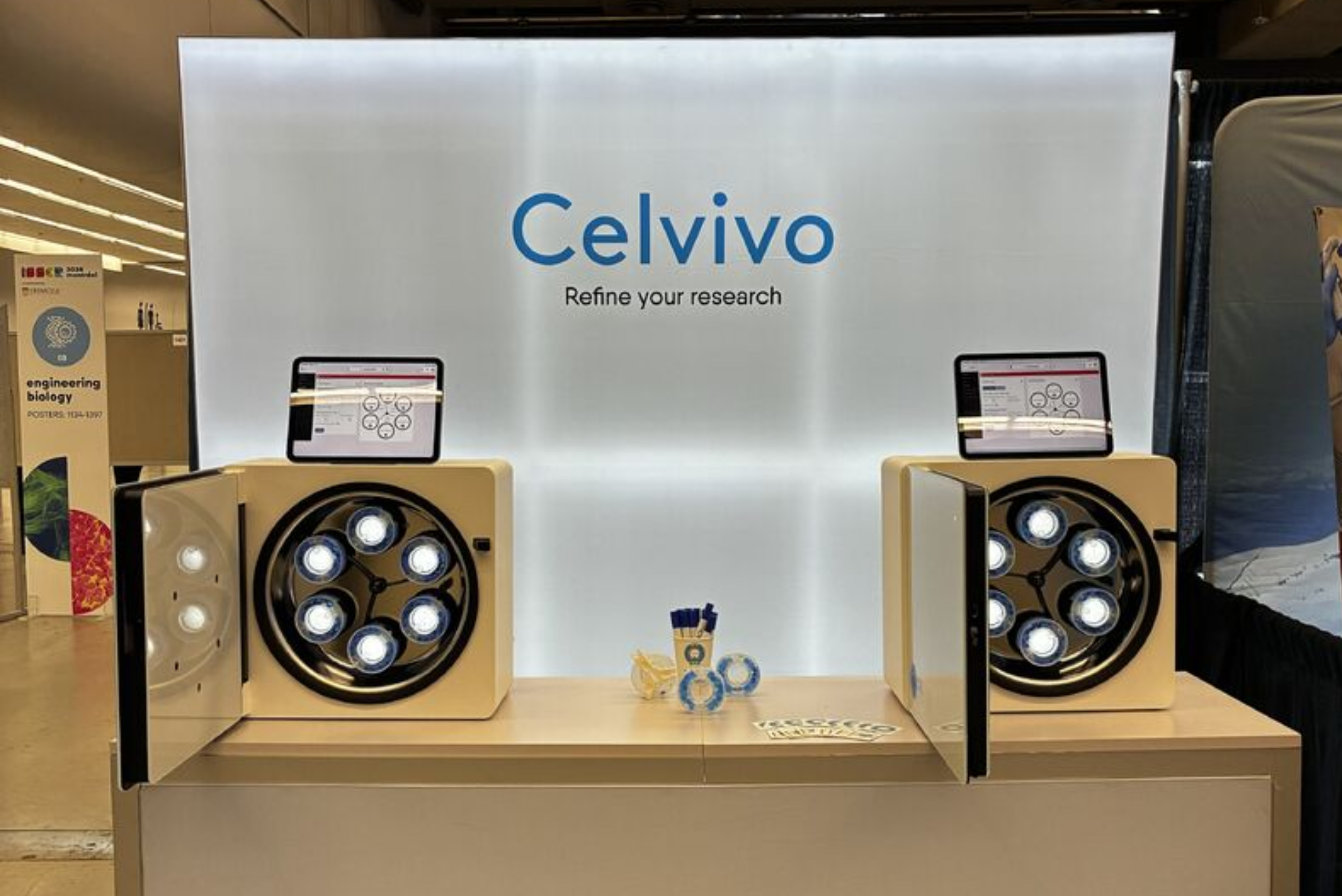 celvivo3