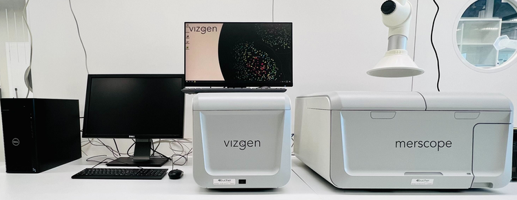 vizgen istr